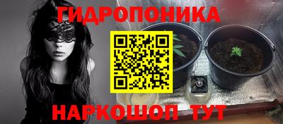 тгк Кулебаки