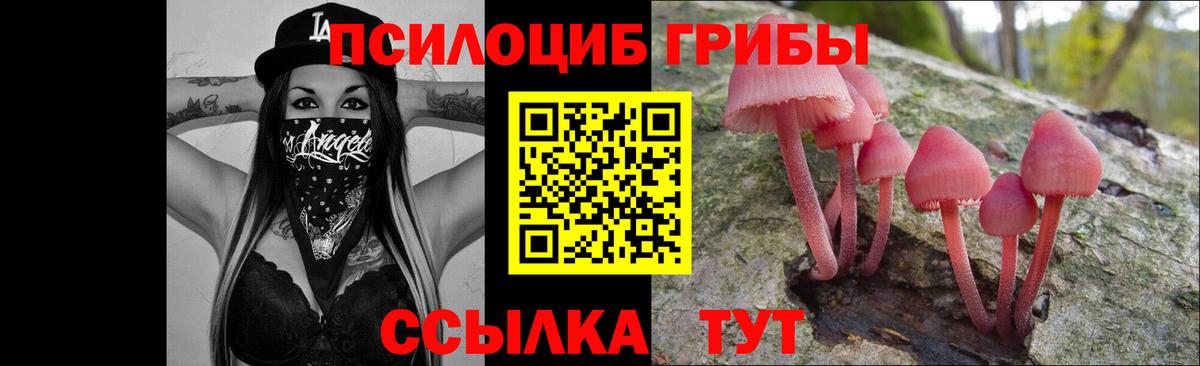 Псилоцибиновые грибы MAGIC MUSHROOMS Великий Новгород