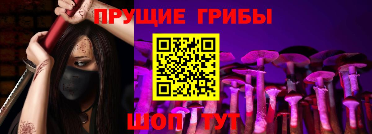 Великий Новгород  Галлюциногенные грибы прущие грибы  Вход с VPN 